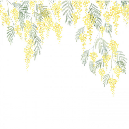 Papier Peint Panoramique CASADECO - Mimosa