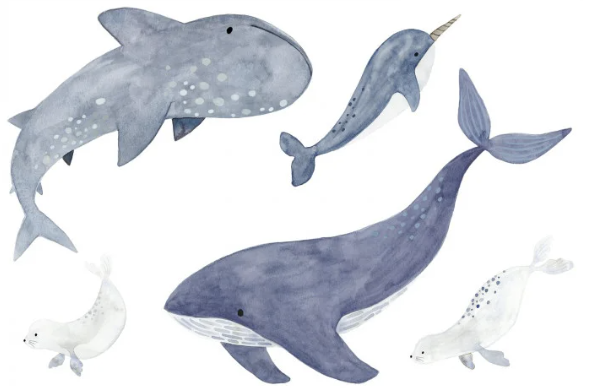 Papier Peint Panoramique CASADECO - Sea life spray up