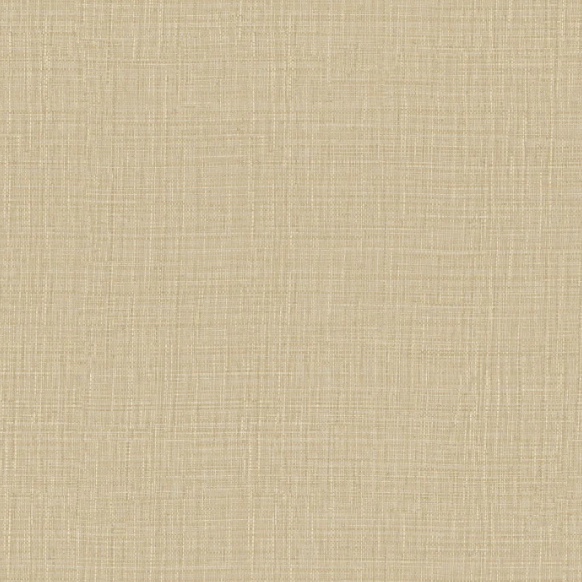 Collection de Papier Peint CASAMANCE - Palmadora