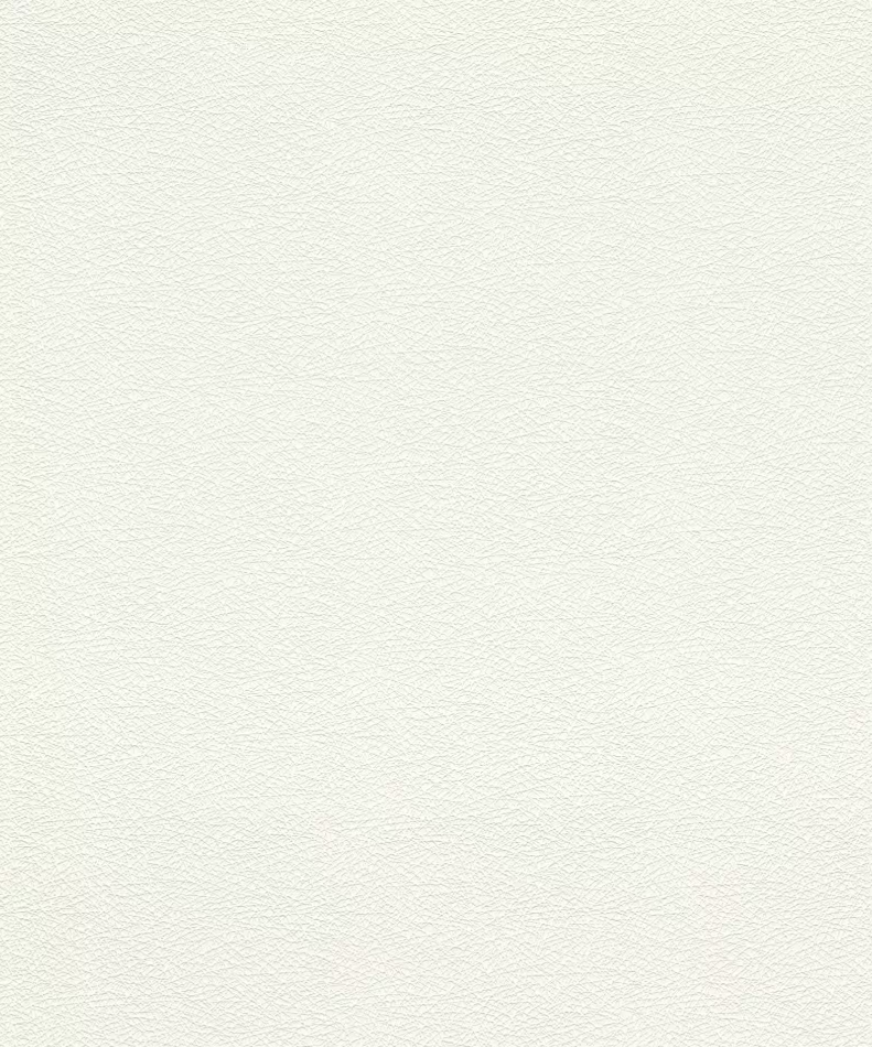 Papier peint intissé à structure résille en blanc  475517 RASCH