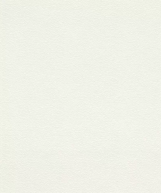 Papier peint intissé à structure résille en blanc  475517 RASCH
