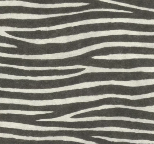 Papier peint intissé peau de zèbre African Queen III RASCH 751727
