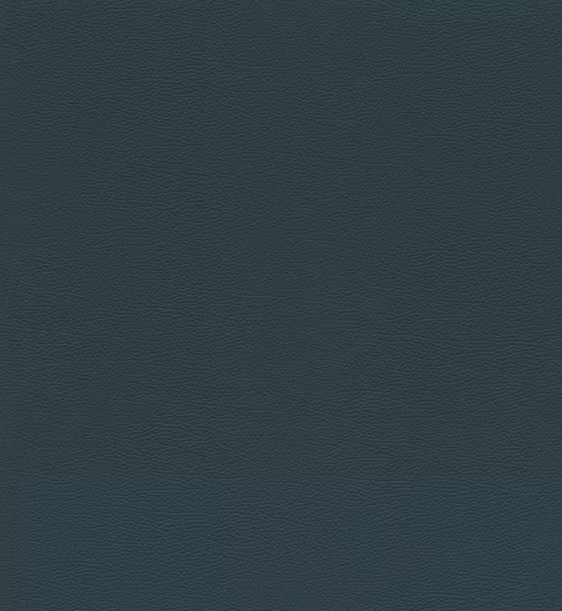 Papier peint intissé aspect cuir bleu RASCH 752670