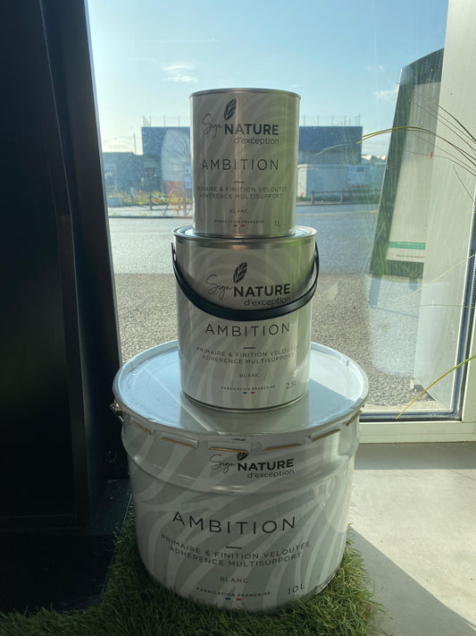 Sign'nature AMBITION -  Primaire et finition velours blanc pour tous les supports en intérieur comme en extérieur