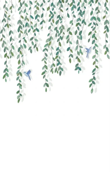 Papier Peint Panoramique CASELIO - Birdy