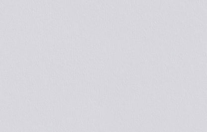 Variovlies V150 Toile Lisse Rouleau de 25m x 1m